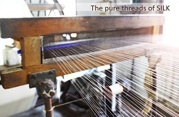 Nurpur Silk Mills